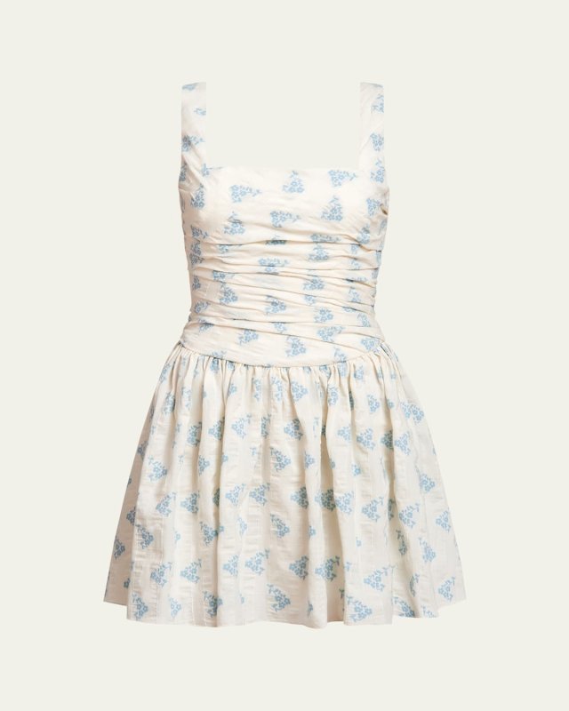 Daphne Floral Stripe Ruched Fit-Flare Mini Dress